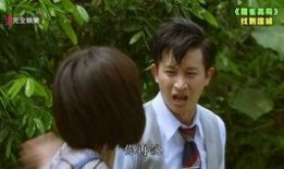 罗雀高飞,探寻鸟类迁徙的奥秘与智慧