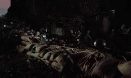 越战焚情,燃烧的青春与永恒的回忆