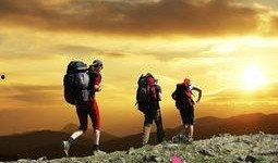 同路人,共赴人生旅程的温暖陪伴