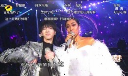 歌手·当打之年,歌手们的青春旋律与梦想之旅