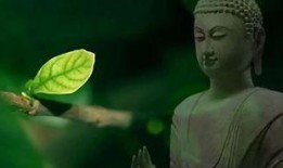 智者不入爱问娘娘不想负责