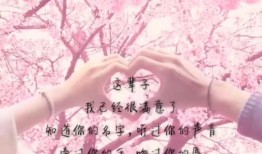 步步流年再无你,一段刻骨铭心的爱恋