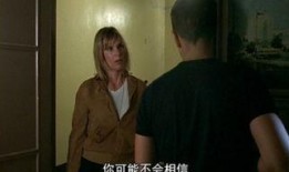 秘密防御（国语版）,揭秘国家安全背后的神秘力量