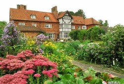 园艺大师,探索绿色生活的艺术与科学