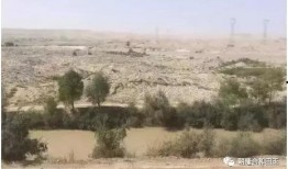 晚春不晚,捕捉春日余晖的美好时光